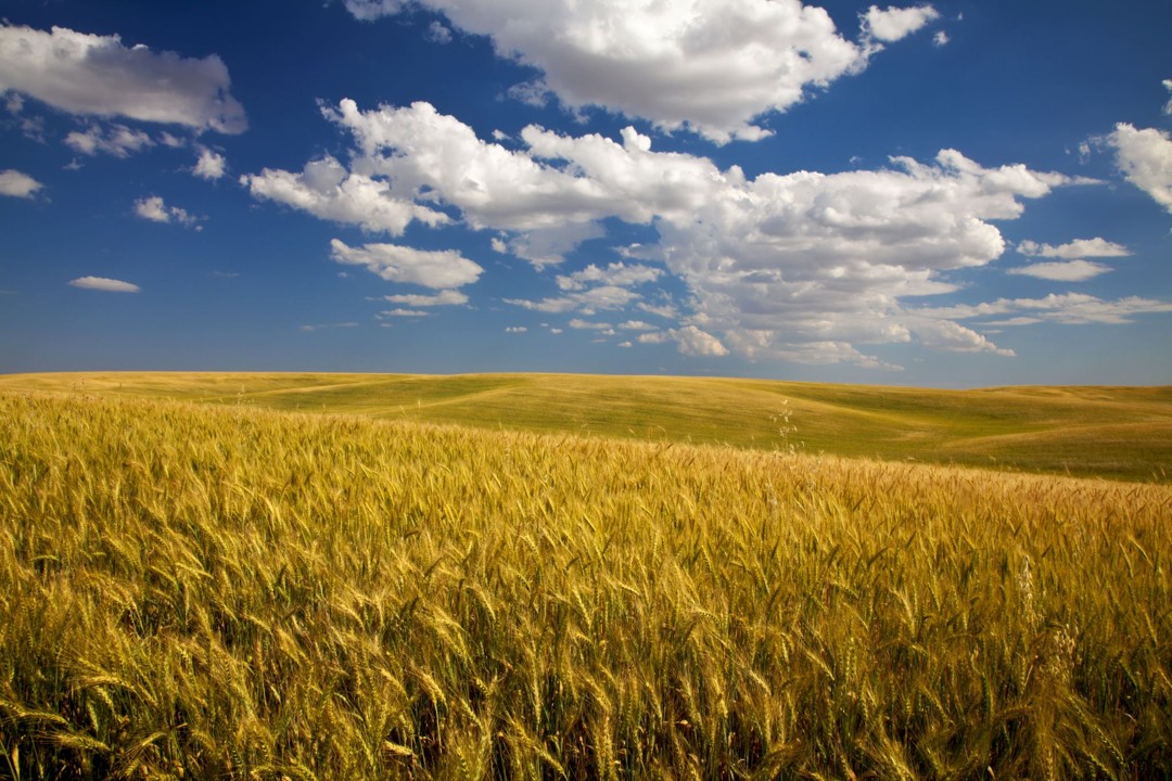 Map and photos illustrating crops and climate intervention